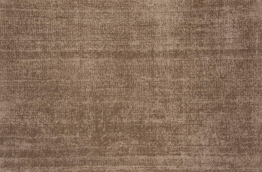 Euphoria by Stanton Carpet